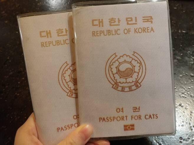 여권의 앞면. 사진 박한송이씨 제공