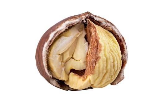 껍질을 절반정도 벗긴 밤