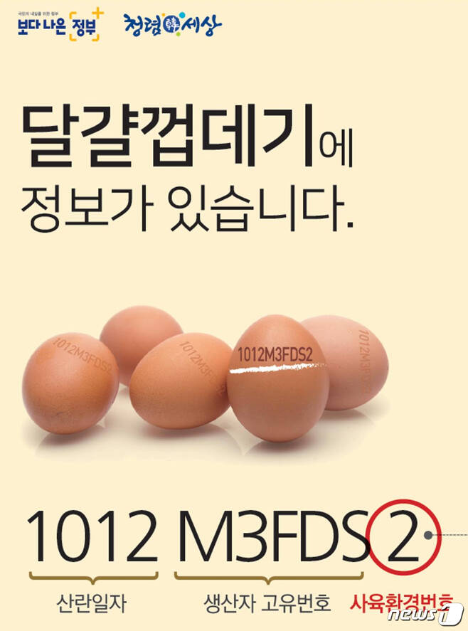 23일부터 계란 껍데기에 산란일자가 표시된다.© 뉴스1