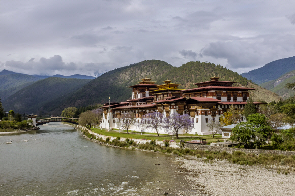 ‘대행복의 궁전’이라는 뜻의 푸나카종. 부탄 내 가장 아름다운 건축물로 꼽힌다.
