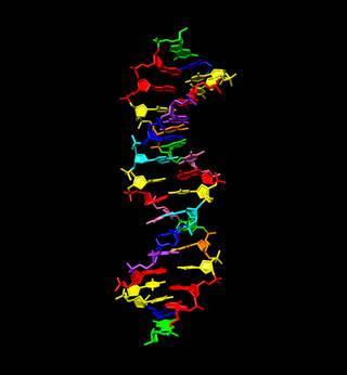 새로 합성된 '하치모지 DNA' 기존 4개 요소(적색·녹색·청색·황색 )에다 새로 4개(분홍색, 보라색, 오렌지색, 청록색)가 추가됐다.  [인디애나 의과대학원 제공]
