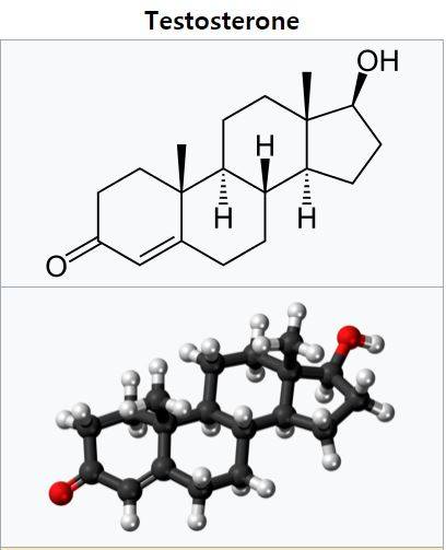 남성호르몬 테스토스테론은 경기력에 큰 영향을 주기 때문에 도핑검사 항목이다. 몸이 만드는 ‘천연’ 테스토스테론과 합성 테스토스테론은 동위원소 비율이 달라 구분할 수 있다. 테스토스테론의 분자구조. 위키피디아 제공