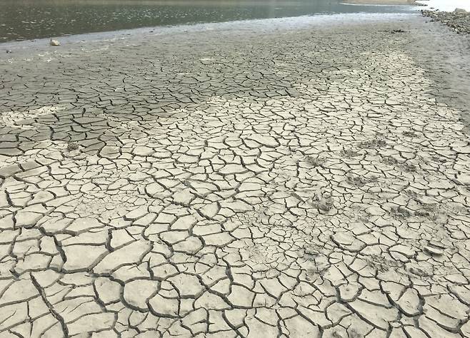 가뭄으로 말라붙은 충남 보령댐. 2017년 5월의 모습이다. [중앙포토]