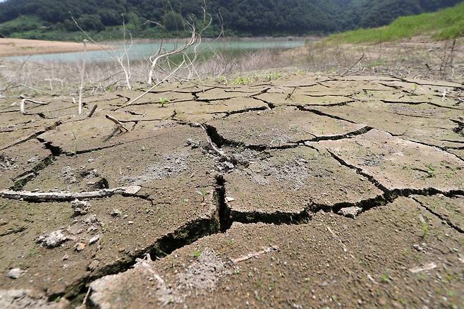 지난해 8월 유례없는 폭염과 가뭄으로 전북 임실군 운암면 옥정호의 물이 말라가며 바닥이 쩍쩍 갈라졌다. [뉴스1]