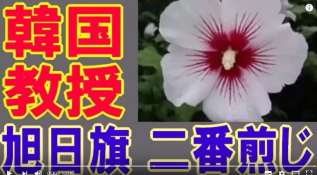 일본 유튜브에서 "무궁화는 일본인들이 좋아하는 꽃"이라는 강효백 경희대 교수의 주장을 번역해 올리자 일본 네티즌들의 뜨거운 반응이 이어지고 있다.[사진=유튜브 캡처]