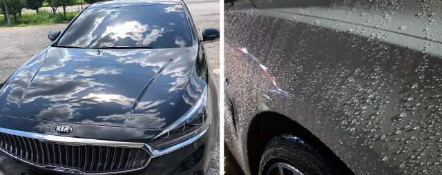 퍼샤 회원 차량에 푸른하늘의 모습이 거울처럼 투영된 모습(왼쪽)과 비온 뒤 구슬모양의 물방울이 맺힌 장면.