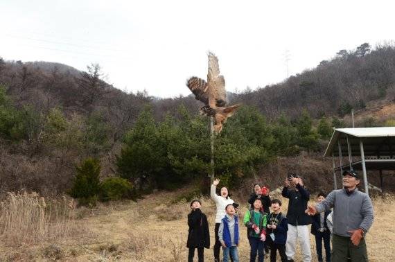 뇌진탕 수리부엉이 자연복귀. 사진제공=경기북부청