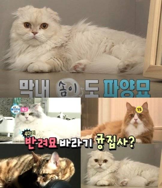 윤균상 윤균상
