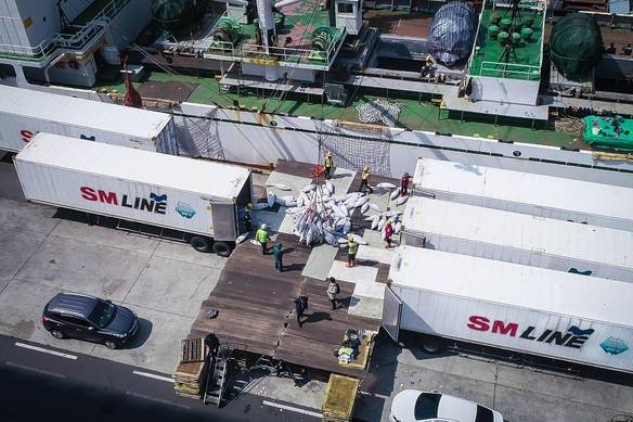 냉동 참치 하역 작업이 이뤄지고 있는 부산 감천항./SM상선 제공