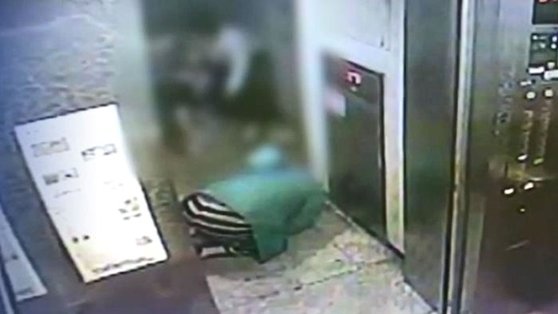 부산의 한 아파트에서 큰 개가 30대 남성의 급소를 무는 사건이 발생했다. 사진은 엘리베이터 CCTV에 찍힌 사건 당시 모습.[JTBC]