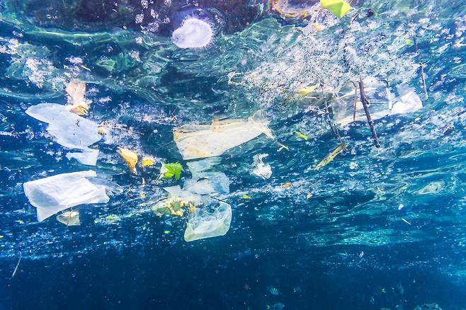 타이의 세계적 관광지 피피 섬의 바닷속 비닐 오염 모습. 플라스틱 폐기물은 관광지 폐쇄와 동물 폐사뿐 아니라 지구의 산소 공급원을 흔들 수 있다. 게티이미지뱅크