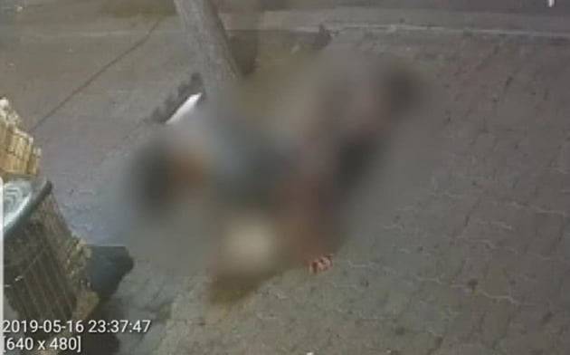 이천 20대 남성 강아지 수간 사건 /사진= 동물학대방지연합