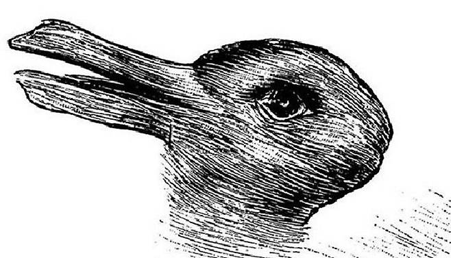 제트로의 논문 속 오리-토끼 그림. (사진=제트로 논문)