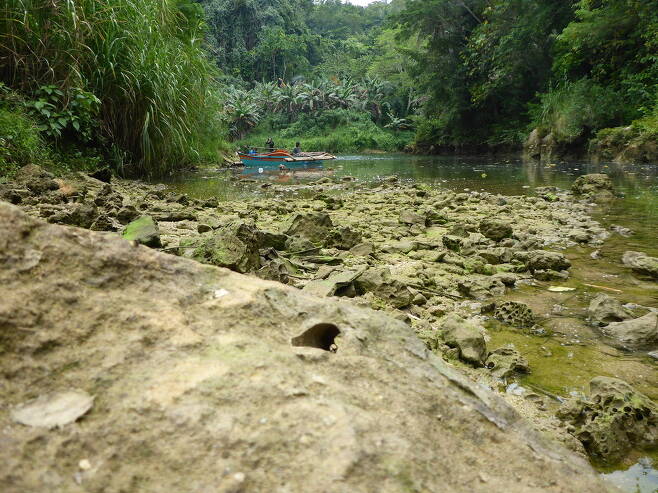 새로운 속의 배좀벌레조개가 발견된 필리핀 아바탄 강 서식지. 강바닥에 구멍이 숭숭 뚫린 바위가 이 동물의 서식지이다. 마빈 알타미아, 루벤 쉽웨이 제공.