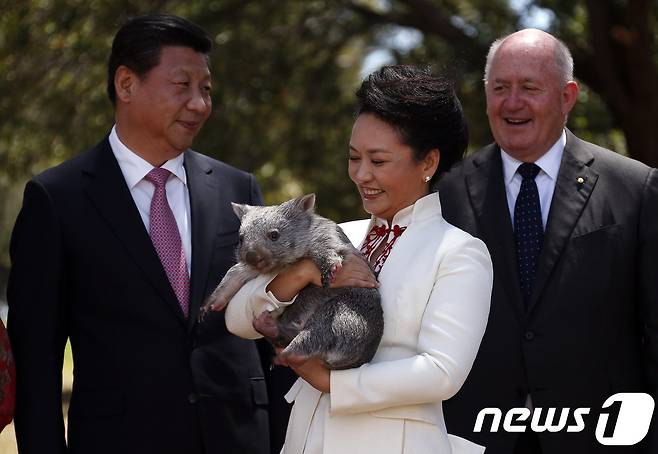 2014년 11월 호주 캔버라를 방문한 시진핑(習近平) 중국 국가주석과 그의 부인 펑리위안(彭麗媛) 여사. 오른쪽은 피터 코스그로브 호주 연방총독. © afp=뉴스1