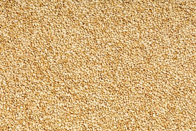 클립아트코리아