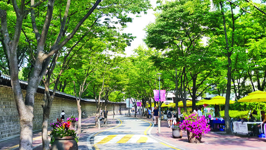 역사와 문화가 어우러진 서울 중구 정동길이 나무 그림자로 그늘져 있다. 서울시는 8일 여름철 나무 그늘이 가득한 ‘서울 여름 녹음길 220선’을 소개했다. 서울시 제공