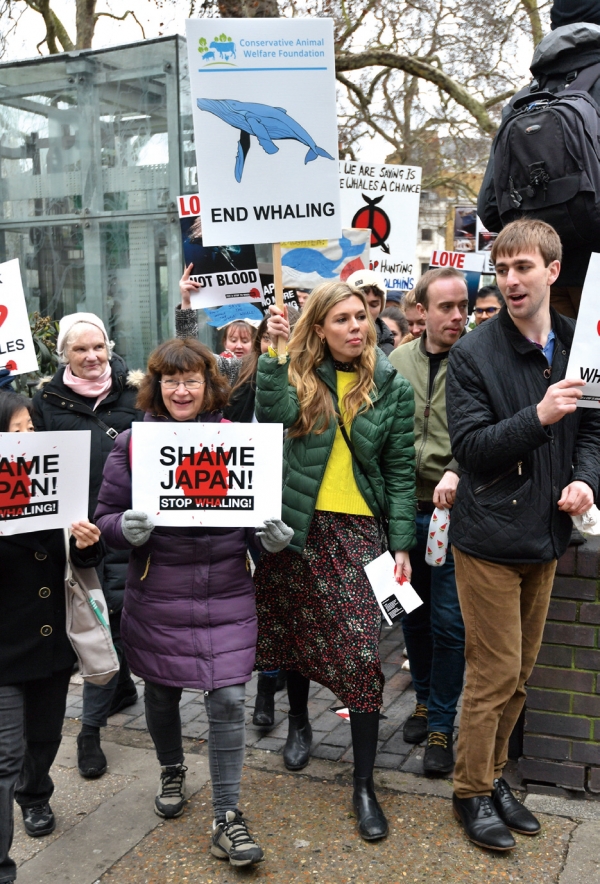 영국에서 동물보호단체 회원들이 일본의 상업 포경 반대 시위를 벌이고 있다. ⓒ PA 연합
