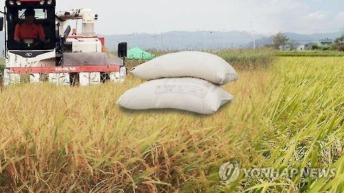 쌀 농사 [연합뉴스 자료 이미지]