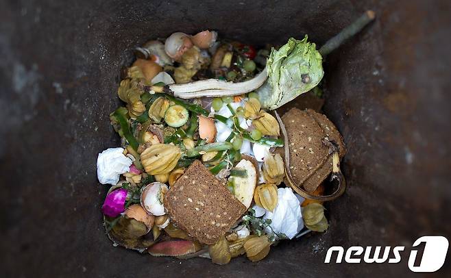 독일 동부 드레스덴의 한 쓰레기통. 남은 음식물이 담겨있다. <자료사진> © AFP=뉴스1