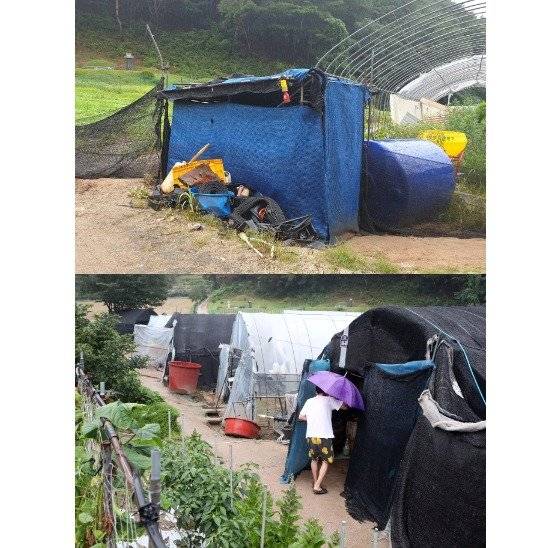 A씨 집 내부엔 화장실이 없어, 50m 정도 떨어진 곳에 간이용 재래식 화장실을 만들어 사용하고 있다. 아래 사진은 A씨 아들이 우산을 쓰고 화장실에 다녀오는 모습. 최정동‧김나현 기자