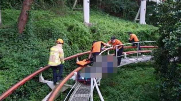 이월드 사고 현장/사진=대구소방안전본부 제공