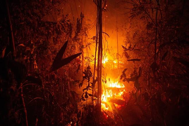 24일 브라질 북부 론도니아주의 아마존 밀림 지역에서 산불이 맹렬한 기세로 숲을 집어삼키고 있다. 포르투 벨료/EDA 연합뉴스