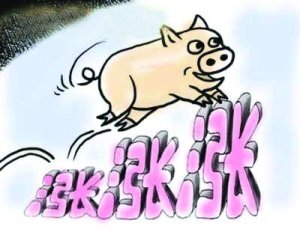 중국에서 돼지고기 가격이 계속 뛰고 있다. 지난해 8월 랴오닝성에서 아프리카돼지열병이 발생하고 미중 무역전쟁의 여파로 돼지 사료의 하나인 콩 공급에 문제가 생겼기 때문이다. [중국 창춘완바오 캡처]
