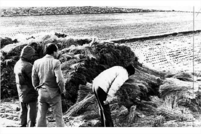 93년 7월 화성연쇄살인사건 수사본부가 화성군 정남면 관항리 인근 농수로에서 유류품을 찾고 있는 모습. 사진=연합뉴스