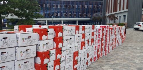 장수군청 앞에 쌓인 사과 상자 촬영 : 김동철 기자