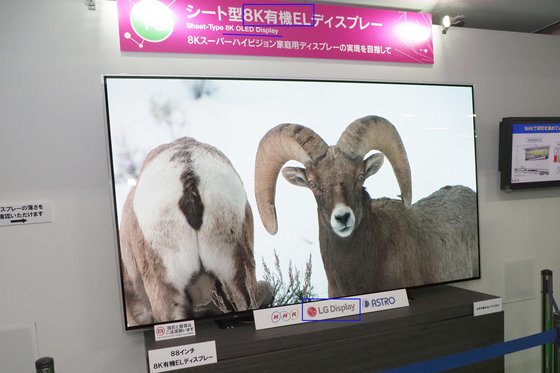 NHK 기술연구소가 8K 시험방송, 연구개발에 활용하는 LG디스플레이의 OLED 패널. NHK는 8K에서 "유기EL 패널을 쓴다"(위 네모)고 밝혔고, 패널 하단부 NHK 로고 옆에는 LG 로고(아래 네모)가 붙어있다. [사진 AV와치 제공]