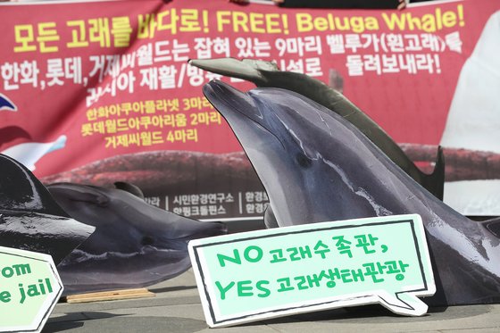 지난 4월 15일 오후 서울 광화문광장 이순신 동상 앞에서 동물권 단체원들이 '국내 사육중인 벨루가 야생 방류'를 촉구하는 캠페인을 열고 손팻말을 펼쳐놓고 있다. [연합뉴스]