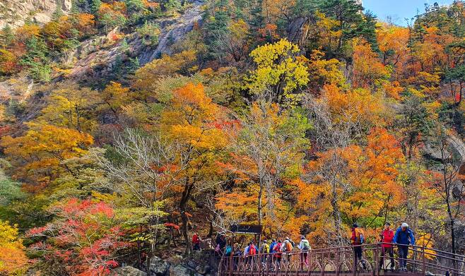 설악산 국립공원 천불동 계곡 구간 탐방로.[연합뉴스]