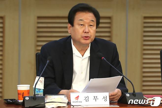 김무성 자유한국당 의원 © News1 임세영 기자