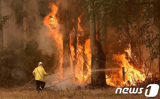 호주 산불 © 로이터=뉴스1