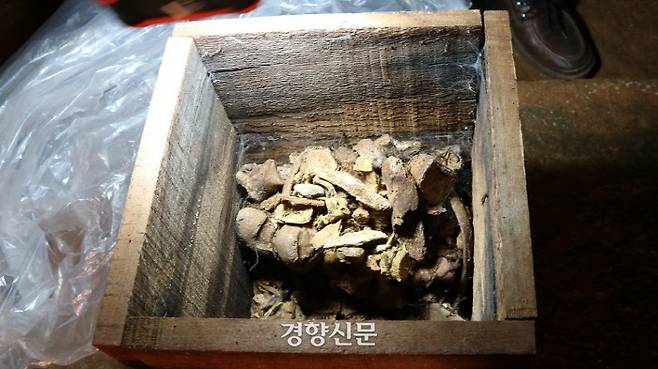 익산 쌍릉 ‘대왕묘’에서 발견된 남성인골더미. 1917년 이 무덤을 발굴한 일본인 야쓰이가 인골을 상자에 담아 무덤방에 넣은 것을 101년만인 지난 4월 재발굴 과정에서 찾아냈다. |국립부여문화재연구소 제공