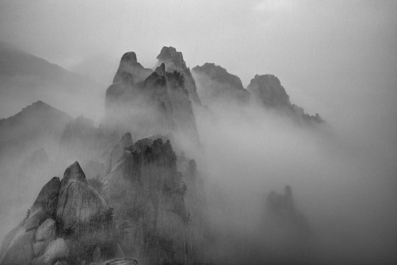 한국 최초이자 유일의 여성 암벽 사진작가인 강레아씨가 촬영한 산들. 사진은 설악산 울산바위. [사진 강레아]
