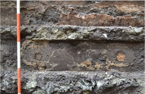 로마 지하철 공사장에서 발견된 2천년 전 추정 떡갈나무 목재. [일간 라 레푸블리카]