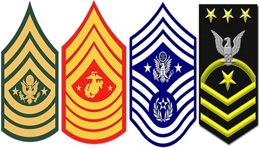 왼쪽부터 미 육군, 해병대, 공군, 그리고 해군 주임원사 계급장. 해군을 제외하면 별이 2개씩 새겨져 있다. 미 국방부