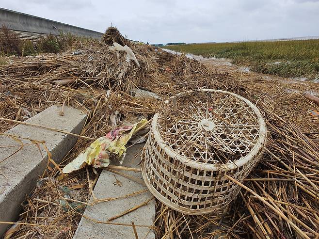 지난달 25일 상하이 인근 양쯔강 하구 난후이의 강변에서 찾은 쓰레기들. 진창일 기자