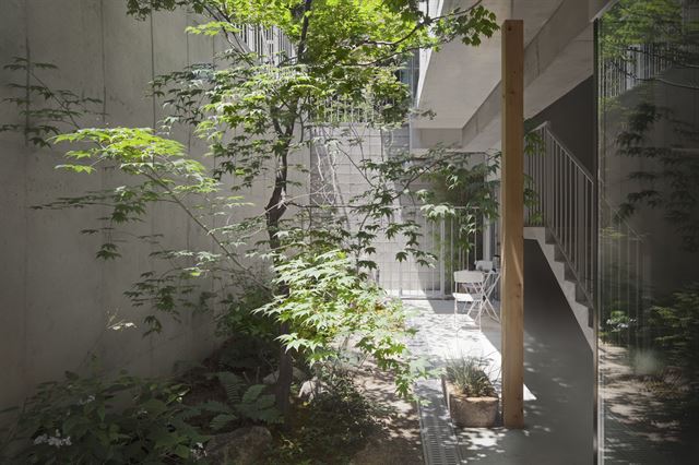 지하 1층에도 단풍나무와 허브를 심어 공간에 활기를 더했다. 지하 1층이지만 빛이 잘 들도록 설계했다. 김주영(studio millionroses) 건축사진작가