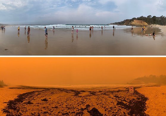 호주 뉴사우스웨일즈의 타트라 비치의 화재 전(위)과 후의 사진. [사진 트위터]