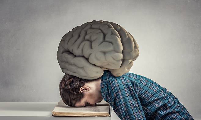 /사진 = 이미지투데이