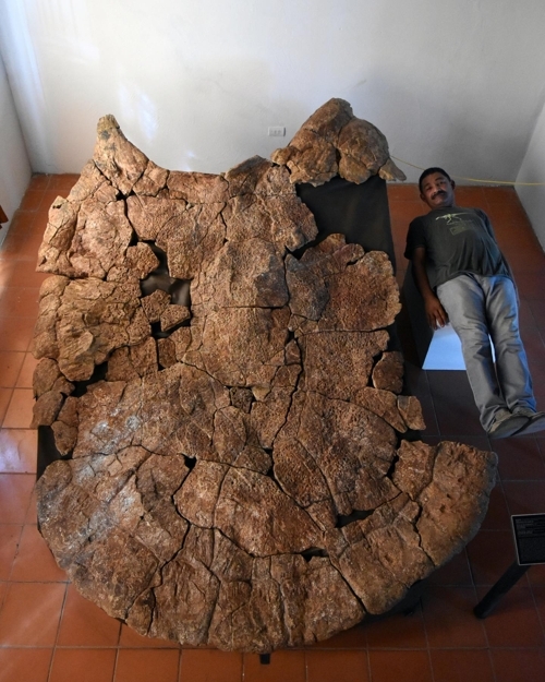 고생물학자 로돌포 산체스가 화석 크기를 나타내기 위해 누워있는 장면 [Edwin Cadena 제공]