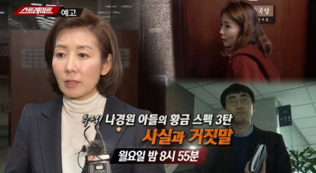 나경원 의원 자녀들 스펙 의혹/사진=MBC '스트레이트' 영상 캡처