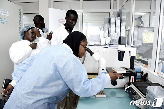 세네갈의 바이러스 연구자들 © AFP=뉴스1