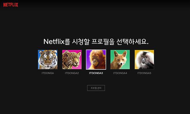 프로필은 최대 5개까지 만들 수 있다