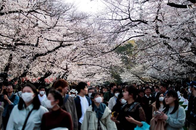지난 22일, 코로나19 확산에도 불구하고 도쿄 우에노 공원에 벚꽃 구경을 나온 인파. /AFPBBNews=뉴스1