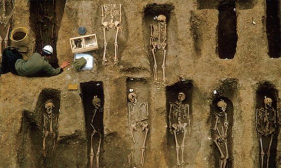 2011년 영국 런던에서 발굴된 14세기 흑사병 희생자들의 유골. 흑사병은 봉건제 몰락과 시민계급의 성장을 가져왔다.