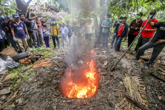 Health officials burns cages o - 인도네시아 보건 관계자들이 지난 14일(현지시간) 자바 중부의 솔로 동물시장에서 가져온 박쥐들을 우리째 불태우고 있다.자바 AP 연합뉴스